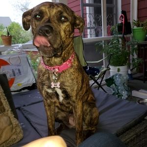 Meet your Posher, Kyle